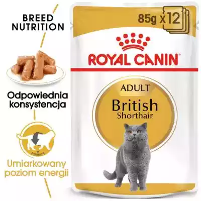 ROYAL CANIN FBN British Shorthair Adult  Dla kota/Karmy dla kota/Mokre karmy