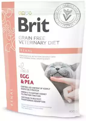 BRIT Grain Free Vet Diets Cat Renal Jajk suche karmy