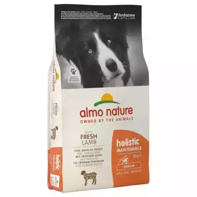 Dwupak Almo Nature, 2 x 12 kg - Medium,  Podobne : Almo Nature HFC Natural Made in Italy, 6 x 70 g - Łosoś - 338308