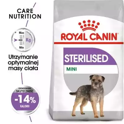 Royal Canin CCN MINI STERILISED - sucha  Podobne : Royal Canin Mini Coat Care karma sucha dla psów dorosłych, ras małych o matowej sierści 3kg - 45424
