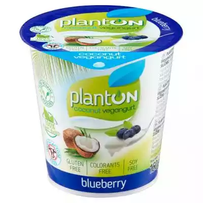 Planton - Wegański produkt z mleczka kok BIO, VEGE, BEZ GLUTENU I LAKTOZY/Vege/Nabiał