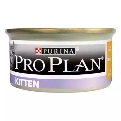 15% taniej! Purina Pro Plan dla kota, 48 Podobne : Purina Pro Plan Sterilised Kitten, łosoś - 3 kg - 343397