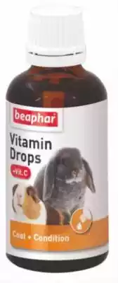 BEAPHAR - preparat witam dla królików i gryzoni - 50ml
        Beaphar Vitamin Drops - preparat multiwitaminowy dla królików i gryzoni - 50mlPreparat multiwitaminowy Beaphar Vitamin Drops stworzony został z myślą o potrzebach wszystkich królików i gryzoni. Kompozycja dziesięciu witamin zad