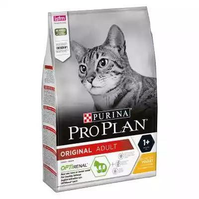 15% taniej! Purina Pro Plan sucha karma  Podobne : PURINA PRO PLAN Karma dla kotów delikatne kawałki z indykiem w sosie 85 g - 254146