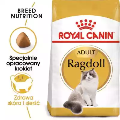 ROYAL CANIN FBN Ragdoll Adult - sucha ka Dla kota/Karmy dla kota/Suche karmy
