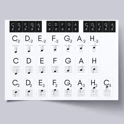 Wytrzymałe naklejki samoprzylepne na klawisze (43 sztuki). Naklejki wyeliminują częsty problem,  z zapamiętywaniem nazw klawiszy. Zawierają zarówno oznaczenia literowe klawiszy (C,  D,  E,  F,  G,  A,  H) jak i oznaczenia nutowe – dzięki temu oprócz zapamiętywania nazw klawiszy,  samoistni