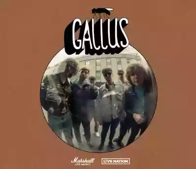 Gallus - Kraków, ul. Rostafińskiego 4 Podobne : Gallus - Warszawa, 11 listopada 22 - 3323