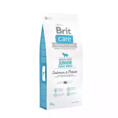 BRIT Care Grain-free Junior Large Salmon Podobne : BRIT Care Grain-free Puppy Salmon & Potato - sucha karma z łososiem i ziemniakami dla szczeniąt - 2x12 kg - 90360