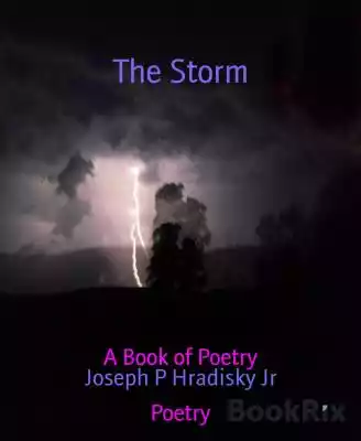 The Storm Podobne : Black Heart and White Heart and Other Stories - 1171666
