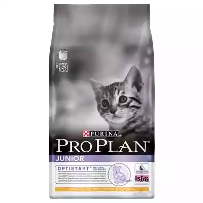 Purina Pro Plan Original Kitten, kurczak purina dog chow