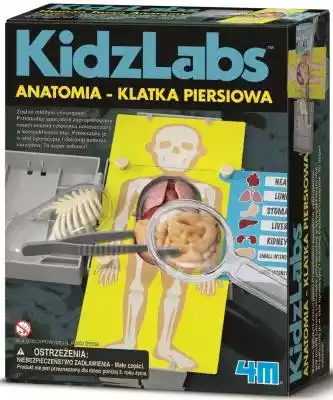 Zestaw doświadczalny 4M Anatomia klatka 