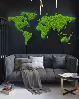 Podświetlana mapa świata z mchu chrobotk Podobne : Mapa świata z mchu chrobotka - zielona mapa, obraz z mchu - 180x90cm 180x90cm - 16320