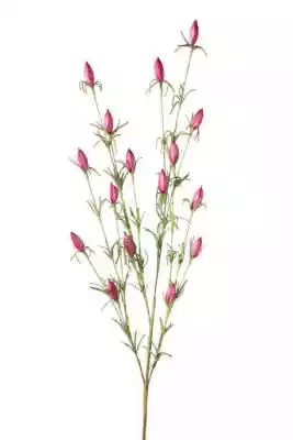 Kwiat dekoracyjny NATU amarantowy/ x6 Podobne : Kwiat dekoracyjny SW złoty 28CM /x12 - 219102
