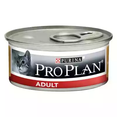 15% taniej! Purina Pro Plan dla kota, 48 Podobne : Purina Pro Plan Original Kitten, kurczak - 10 kg - 337121