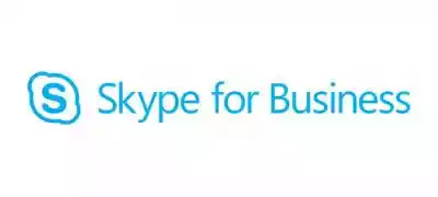 Skype for Business Server Plus CAL Singl Podobne : Excel Single Software Assurance Open Value No Level 065-04599 - 405851