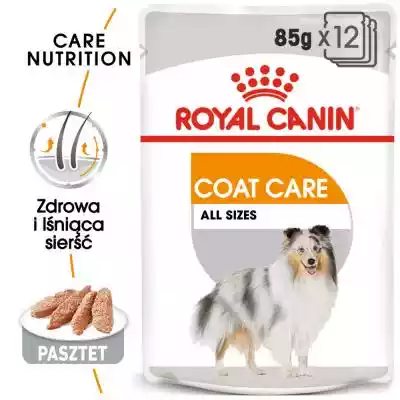 ROYAL CANIN CCN Coat Care Loaf - mokra k Podobne : Royal Canin Medium Puppy - sucha karma dla szczeniąt ras średnich 15kg - 44597