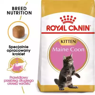 Royal Canin FBN Maine Coon Kitten - such Podobne : Równowaga duchowa. Jak odnaleźć wewnętrzny pokój - 382666