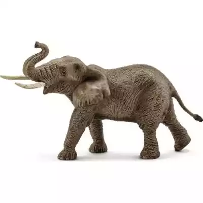 Schleich Samiec słonia afrykańskiego Podobne : Dzikie zwierzęta w naturze. Orzeł - 699835