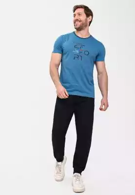 Czym się wyróżnia:
przewiewny materiał: 100% bawełna 
klasyczny krój 
półokrągły dekolt wykończony dresową lamówką 
krótki rękaw 
nadruk z napisem: Effort 
kolor: niebieski melanż 
rozmiary Plus Size 
Koszulka męska ze sportowym akcentem  
T-shirt z 