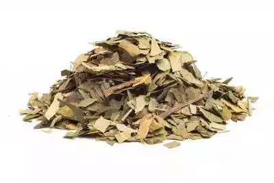 GINKGO LIŚCIE - zioło, 50g Podobne : Solaray Ginkgo Biloba Leaf Extract, 120 mg, 60 kapsli (opakowanie 4 szt.) - 2796522
