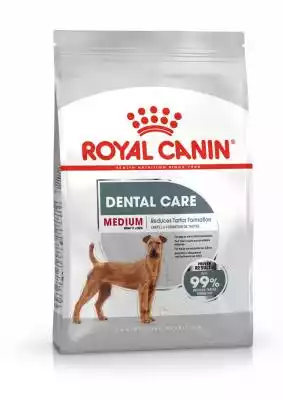 Royal Canin Medium Dental Care - sucha karma dla psów Royal Canin Medium Dental Care  - produkt od Royal Canin. Marka od kilkudziesięciu lat specjalizuje się w wytwarzaniu pokarmów dla zwierząt domowych. Bez wątpienia tak ogromne doświadczenie pozwala tworzyć produkty oparte na ogromnej wi
