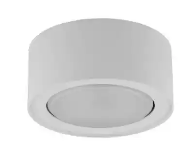 Lampa natynkowa FLEA WHITE 12W 8202 Nowo Sufitowe/Plafony / Spoty