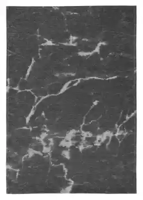 Dywan łatwoczyszczący Carrara Gray by Ma Podobne : Stone with Three Sketches, Pierre-Auguste Renoir - plakat 50x40 cm - 333270