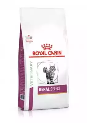 Royal Canin Renal Select sucha karma dla Podobne : Royal Canin Renal Wołowina - saszetka dla kota 85g 85g - 44667
