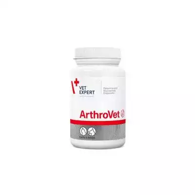 VetExpert Arthrovet - preparat na stawy  Podobne : VetExpert 4T Dermatosis - sucha karma dla kota 250g - 45211