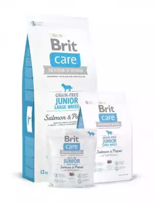 Brit Care Junior Large Breed Salmon & Po Zwierzęta i artykuły dla zwierząt > Artykuły dla zwierząt > Artykuły dla psów > Karma dla psów