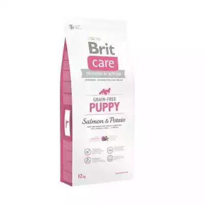 BRIT Care Grain-free Puppy Salmon & Pota Podobne : BRIT Care Grain-free Puppy Salmon & Potato - sucha karma z łososiem i ziemniakami dla szczeniąt - 2x12 kg - 90360