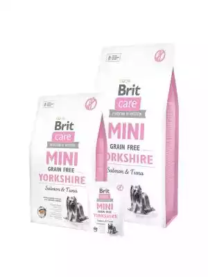 Brit Care Mini Yorkshire - sucha karma dla psów dorosłych dedykowana rasie Yorkshire Terrier Marka Brit została stworzona w 1994 w czeskiej Pradze. Ze względu na fakt,  że od samego początku działa jako firma rodzinna,  za swój cel stawia poszanowanie Swoich 