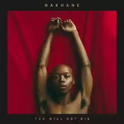 Nakhane Toure You Will Not Die rock