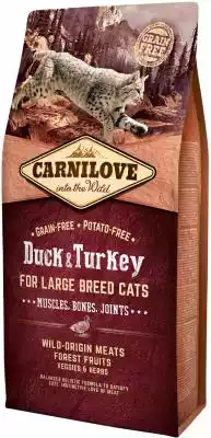 Carnilove Duck & Turkey Large Breed - Kaczka,  Indyk - karma sucha dla kotów ras dużych Carnilove jest czeską marką karm,  wytwarzaną przez Vafo Praha. Firmy o ponad 25 letniej tradycji komponowania karm w poszanowaniu naturalnych potrzeb żywieniowych kotów i psów. Dlatego też karmy nie za