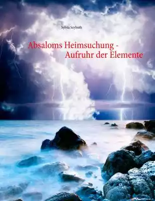Absaloms Heimsuchung Księgarnia/E-booki/E-Beletrystyka