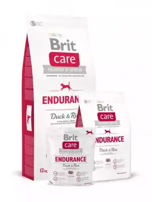 Brit Care Endurance - sucha karma dla psów o wysokiej aktywności Marka Brit została stworzona w 1994 w czeskiej Pradze. Ze względu na fakt,  że od samego początku działa jako firma rodzinna,  za swój cel stawia poszanowanie Swoich 