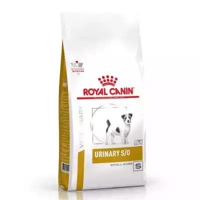 Royal Canin Urinary S/O Small Dog - sucha karma dla psów Royal Canin Urinary S/O Small Dog - sucha karma dla psów - produkt od Royal Canin. Marka od kilkudziesięciu lat specjalizuje się w wytwarzaniu pokarmów dla zwierząt domowych. Bez wątpienia tak ogromne doświadczenie pozwala tworzyć pr