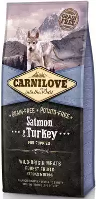 Carnilove Salmon & Turkey for Puppies - Łosoś i Indyk - karma sucha dla szczeniaków wszystkich ras Carnilove jest czeską marką karm,  wytwarzaną przez Vafo Praha. Firmy o ponad 25 letniej tradycji komponowania karm w poszanowaniu naturalnych potrzeb żywieniowych psów i kotów. Dlatego też k