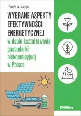 Wybrane aspekty efektywności energetyczn Książki > Ekonomia i biznes > Polityka ekonomiczna